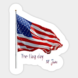 The American flag day Sticker